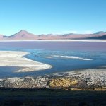 Salar d'uyuni 236 - Lagune colorada - Bolivie