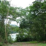 Misahualli 035 - Rio et jungle - Equateur