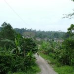 Misahualli 036 - Village - Equateur