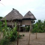 Misahualli 028 - Maisons Amazonie - Equateur