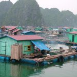 Baie d'Along - 298 - Habitations sur l'eau - Vietnam