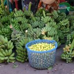 Mekong - 073 - Bananes fraiches - Vietnam
