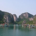 Baie d'Along - 260 - Habitations sur l'eau - Vietnam