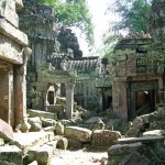 Angkor - 132 - Ta Prohm - Monument et ruine - Cambodge