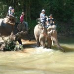 Chiang Mai Alentours - 031 - Elephants dans leau - Thailande