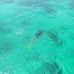 Koh Lanta - Dive - 104 - Raph ss eau Snorkelling - Thailande