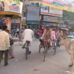 Benares Varanasi 101 - Rue Godaulia & vache - Inde