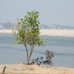 Rickshaw à Benarès en Inde - Varanasi 352 près du Ganges - Inde