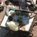 Benares Varanasi 239 - Marche vendeur bananes - Inde
