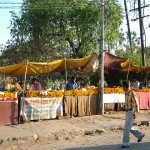 Jaipur 115 - Vente de fleurs - Inde