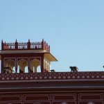 Jaipur 099 - Citypalace - Singe sur mur - Inde