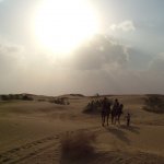 Jailsamer 3 261 - Dunes et dromadaires - Inde